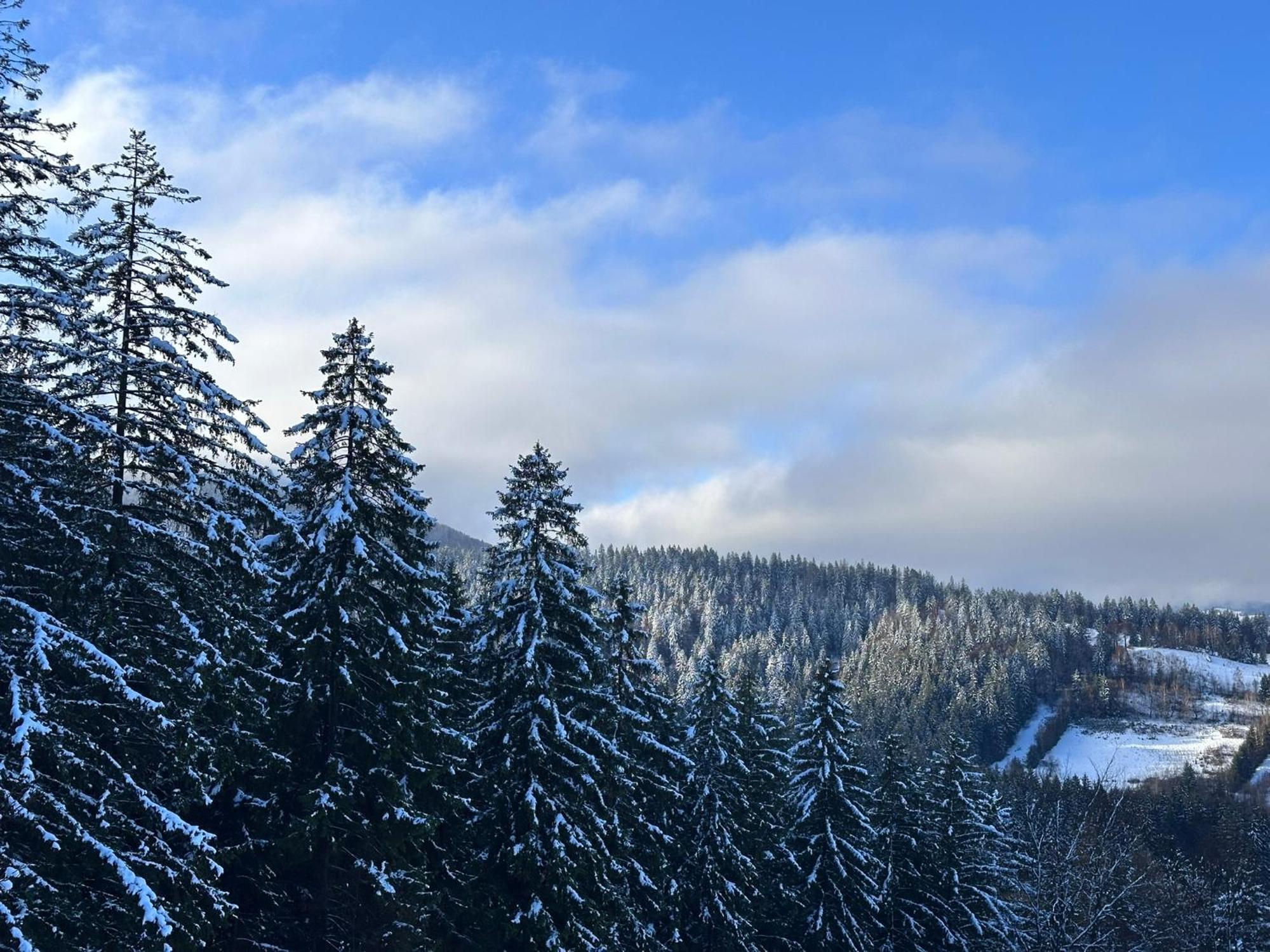 The Pines Bucegi Lodge Bran  Esterno foto